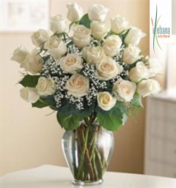 Ramo 24 rosas blancas funeral