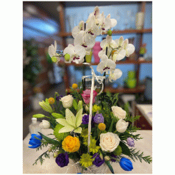 Centro de flor fresca con planta de orquidea